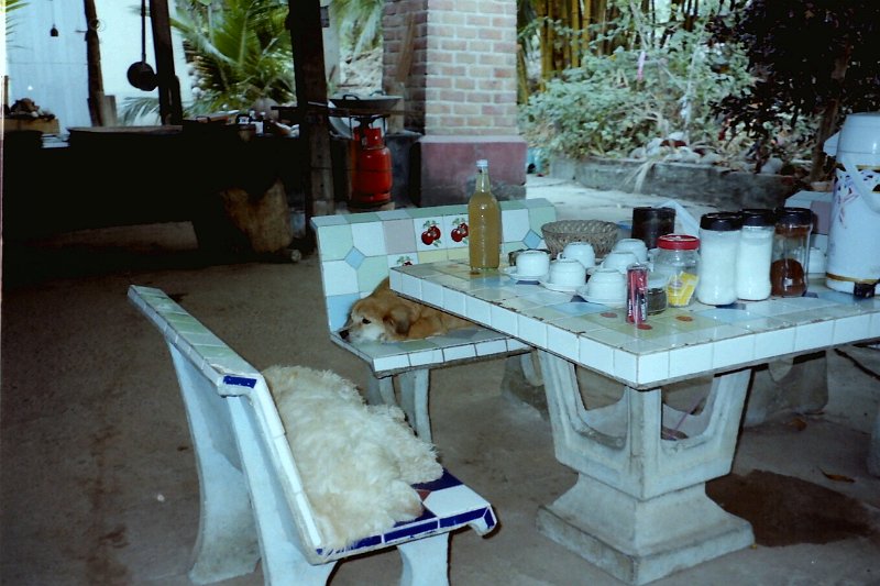 Thailand 2001-EX226.JPG